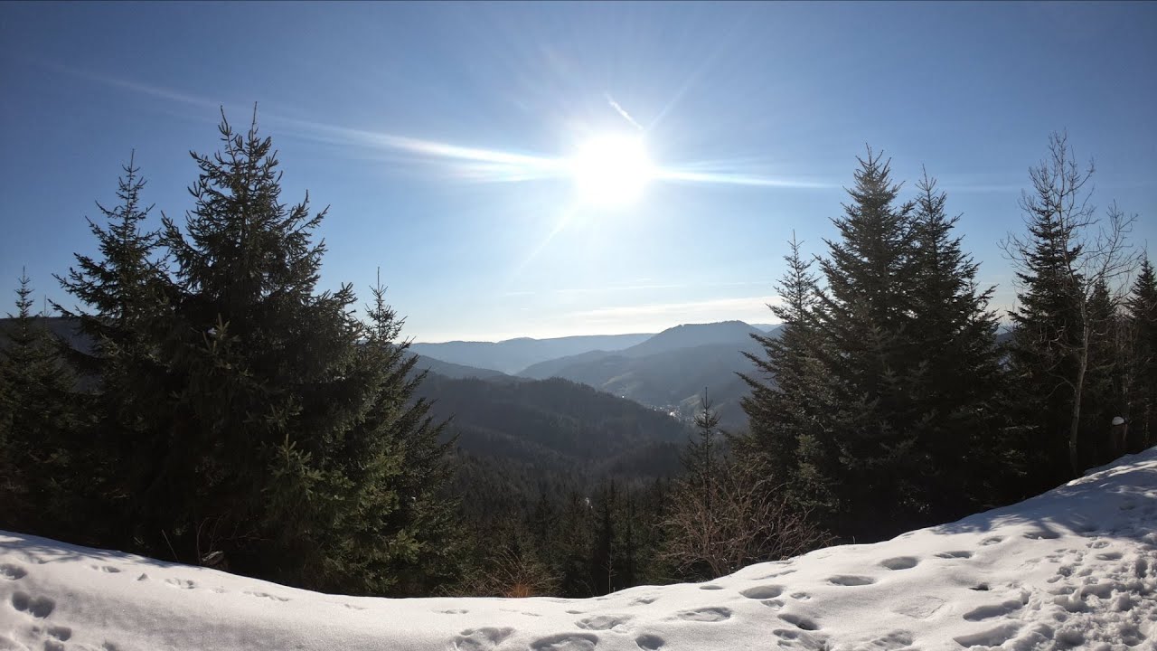 Idyllisch gelegene Hütte im Schwarzwald (870 m.ü.NN)