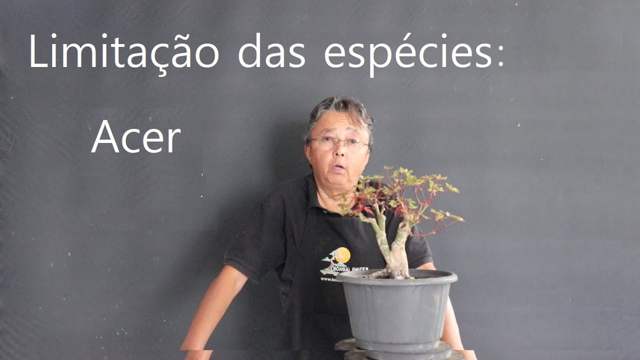 Limitações da espécies 3 - Acer