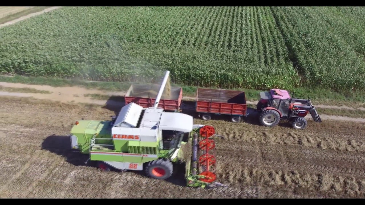 Żniwa 2018 | Gr Piwko - PiwPol | Koszenie - Prasowanie słomy - Zwożenie bel | #Claas #Valtra #Krone