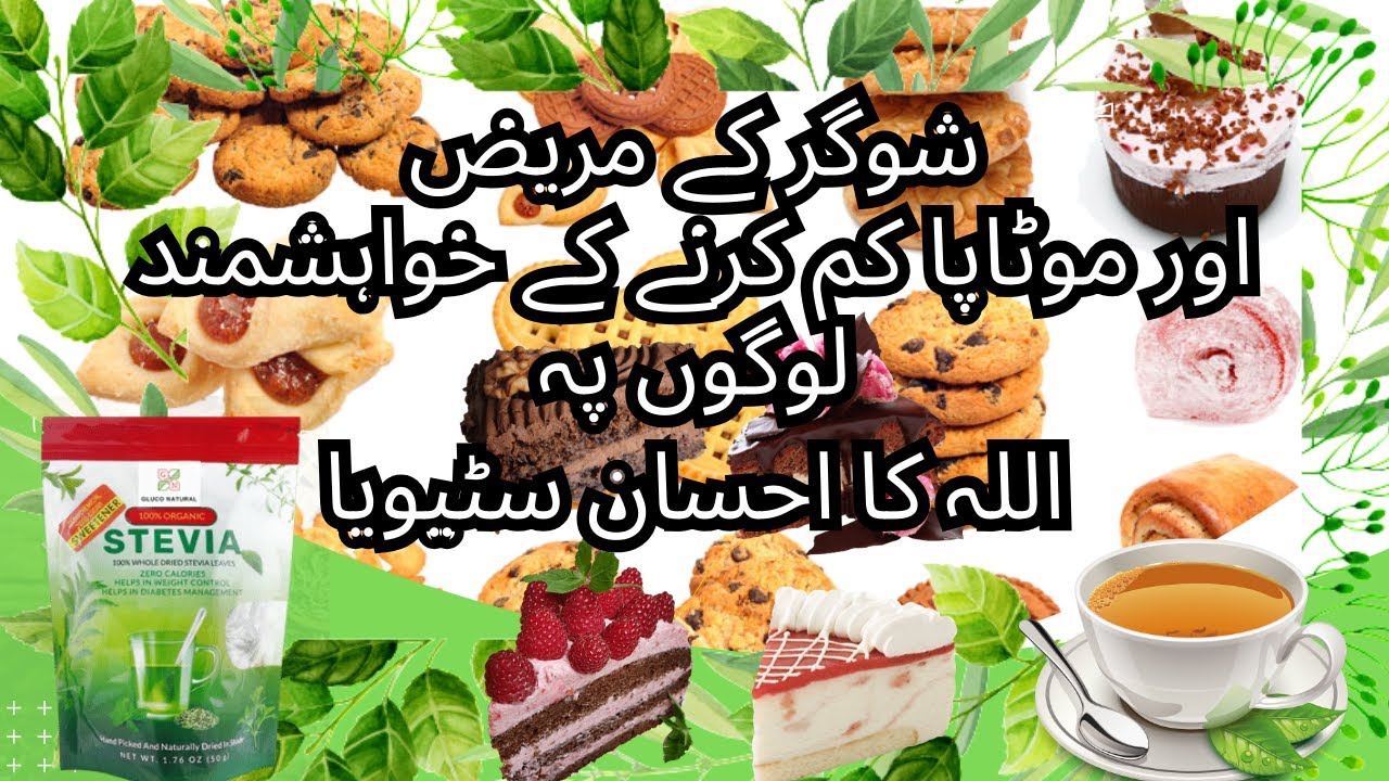 Stevia Plant In Urdu | Stevia In Pakistan | How To Use Stevia