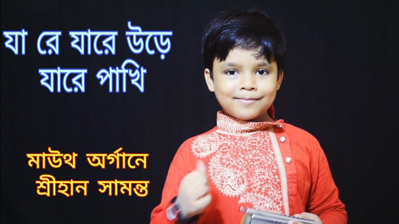 যা রে যারে উড়ে যারে পাখি | Ja Re Jare Udd Jare Panchi | Instrumental (Harmonica) | Sreehan Samanta
