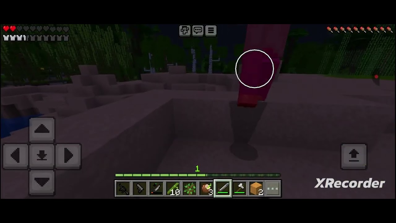 Дима на острове не один