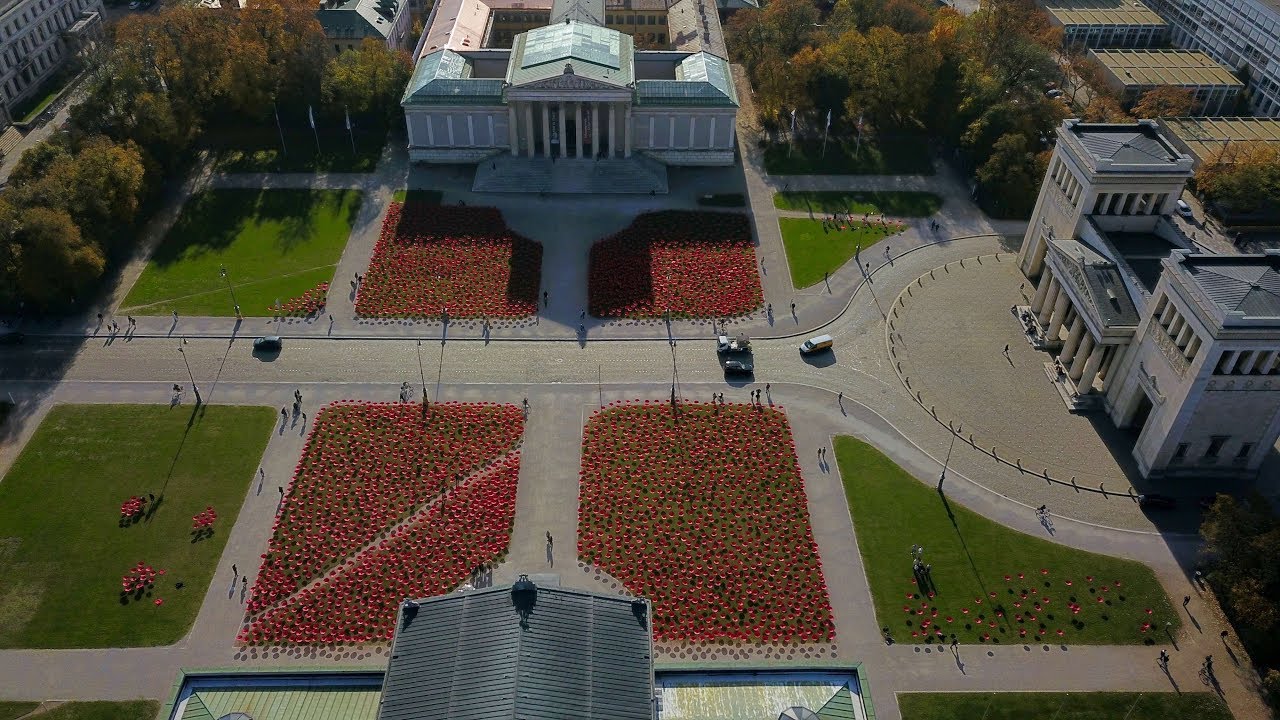 Mohnblumen auf dem K&ouml;nigsplatz - Niemalswieder