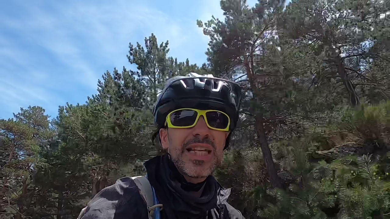 Puerto De #Canencia Paseando Entre &Aacute;rboles Y Pinos Aprendiendo A escucharlos!!! con Mar!!!