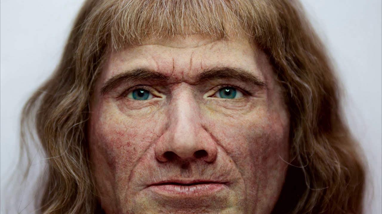 Middeleeuwse adel herboren: Willem van Brederode