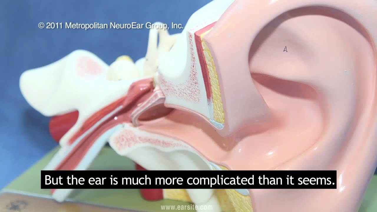 Otology with Subtitles