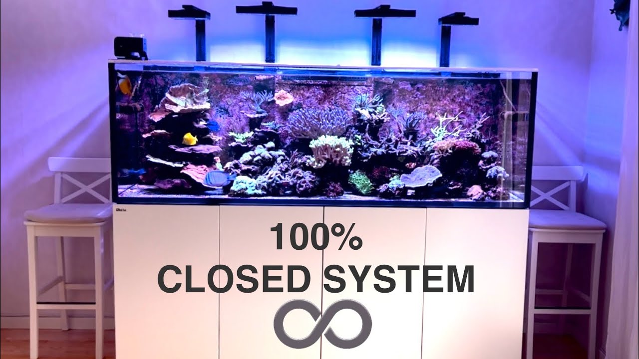 Closed Reef System | No water changes since 2020