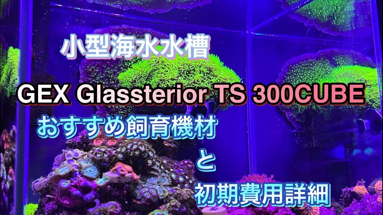 小型海水水槽　おすすめ飼育機材と初期費用詳細　　Glassterior TS 300CUBE【300キューブ水槽】 【マリンアクアリウム】【小型水槽】海水、サンゴ飼育