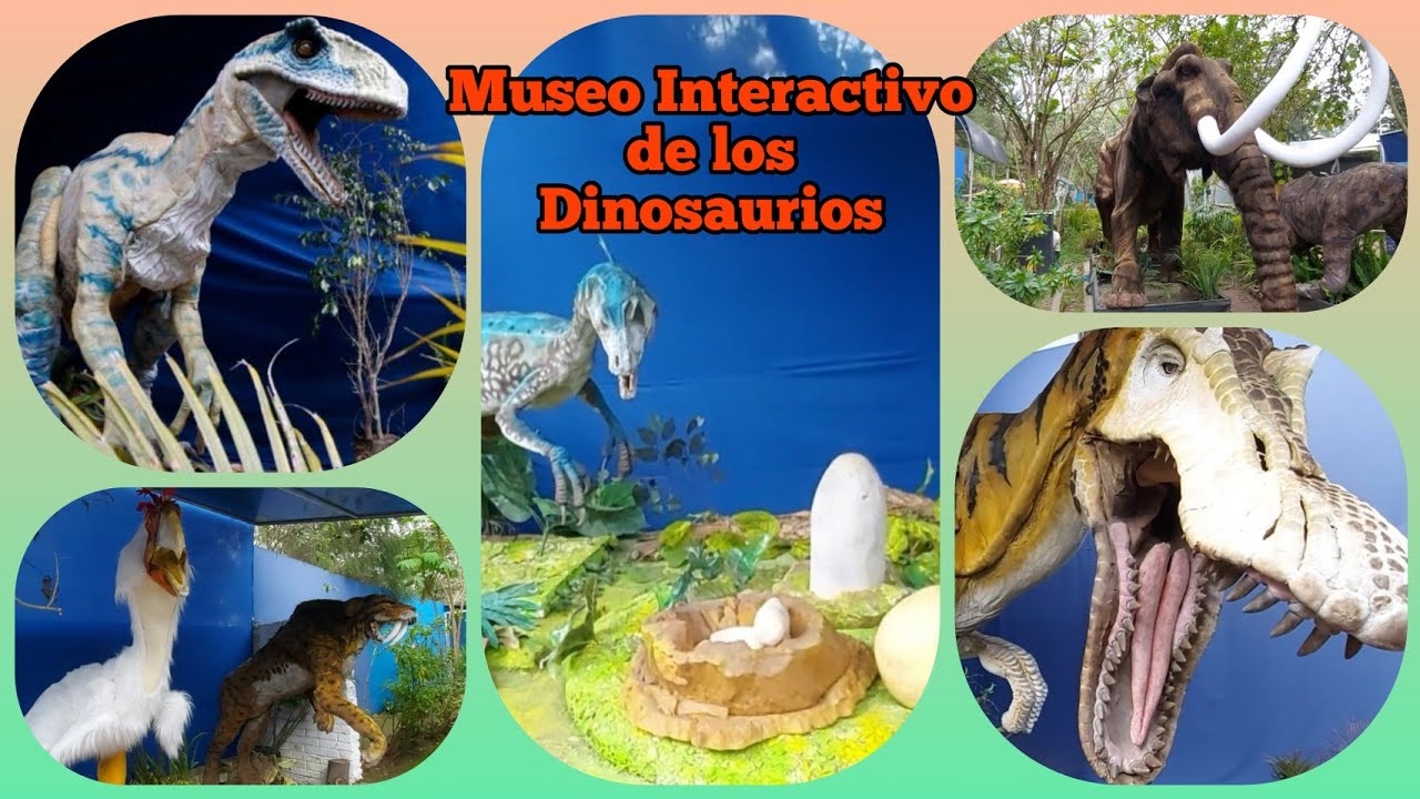 Museo de los dinosaurios 👨‍👩‍👧‍👧🦕 #Dinosauriosmuseo #Parquelacarolina
