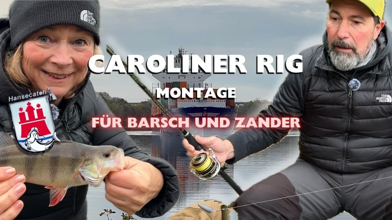 CAROLINA RIG SETUP for perch and zander
