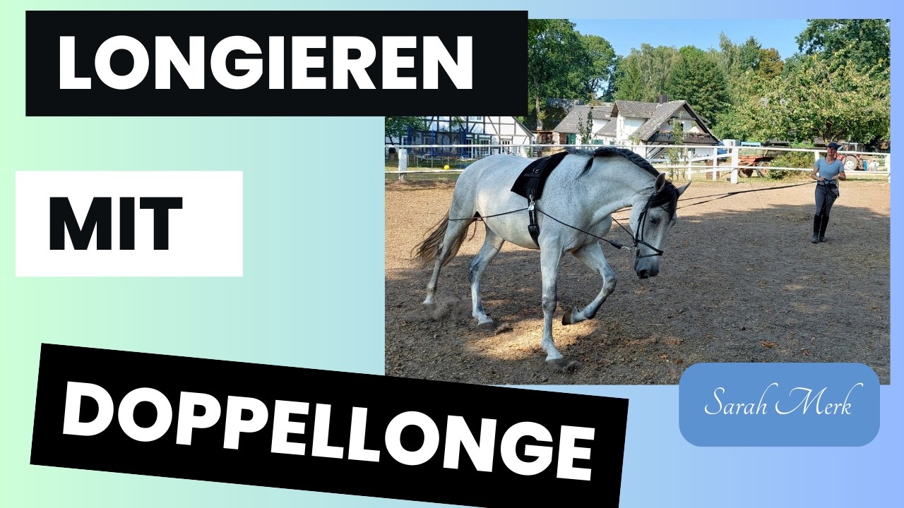 Doppellonge verschnallen verschiedene Varianten, Longieren mit Doppellonge Handhabung 