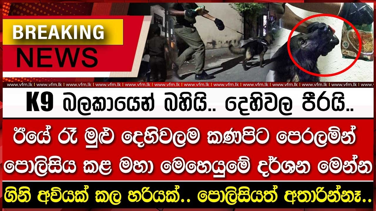 ඊයේ රෑ දෙහිවලම කණපිට පෙරලමින් කළ මහා මෙහෙයුමේ දර්ශන..