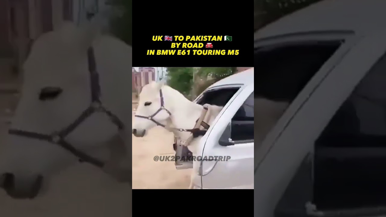 UK to Pakistan by Road 2024 edition in my new BMW #uk2pakroadtrip #horsecart #funnyshorts