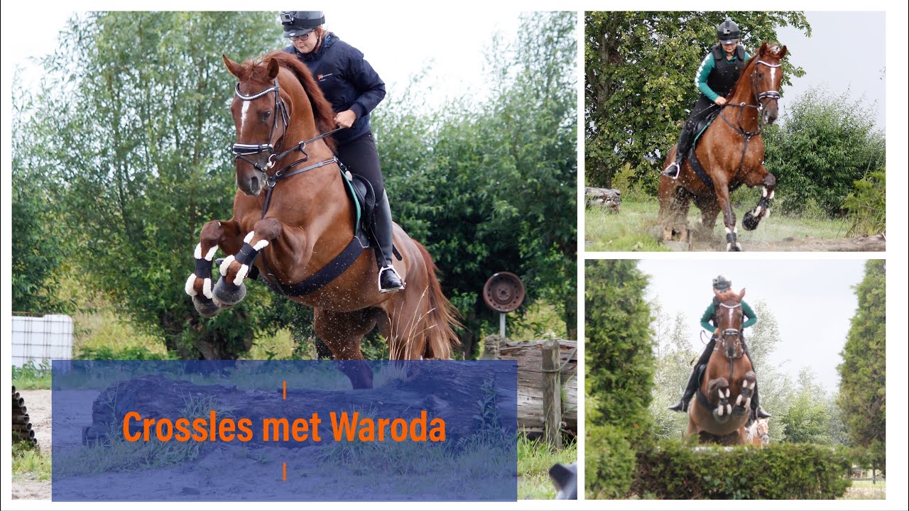 Crossles bij de Zuidplasruiters