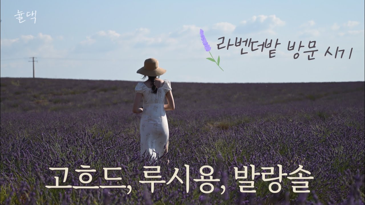 프랑스남부3 | 라벤더밭 이때 가면 늦어요.. 발랑솔 방문 추천시기, 고흐드, 클로버, 루시용, 세낭크수도원, 테라로마