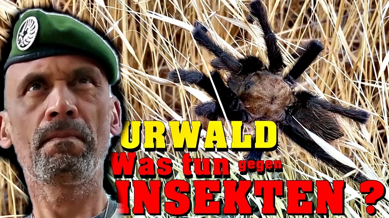Dschungel? Was tun gegen Insekten ?!