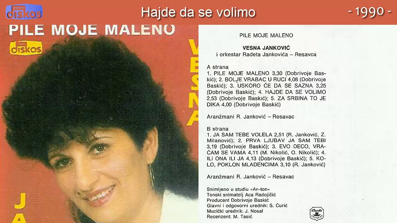 Vesna Jankovic Draguljce - Hajde da se volimo - (Audio 1990)