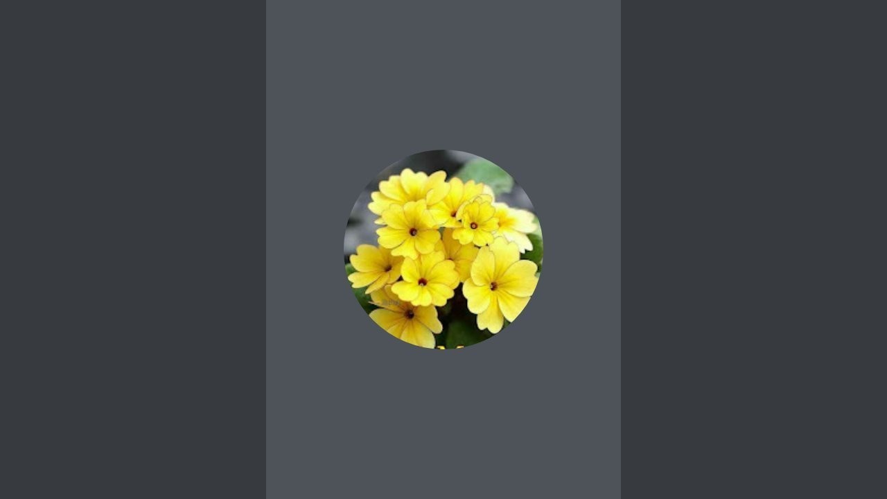 നമസ്തേ കുട്ടുകാരെ