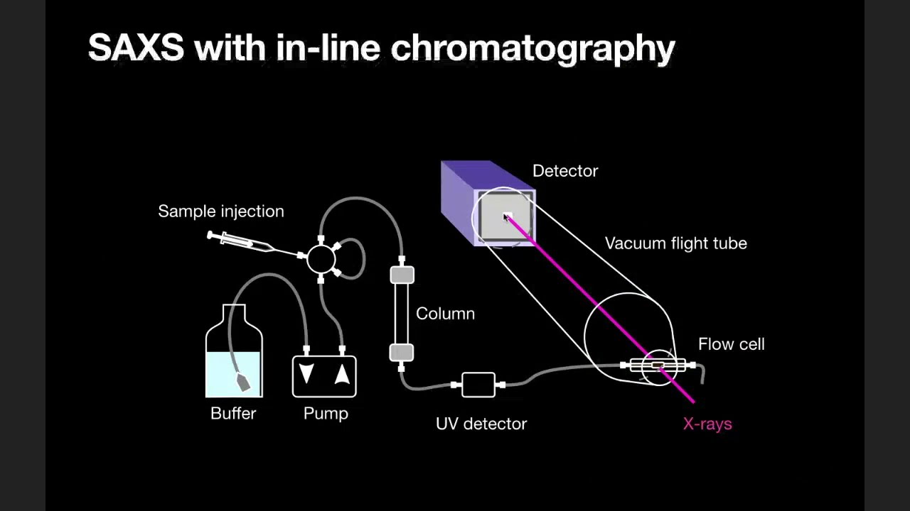 Size Exclusion Chromatography coupled SAXS (SEC-SAXS)