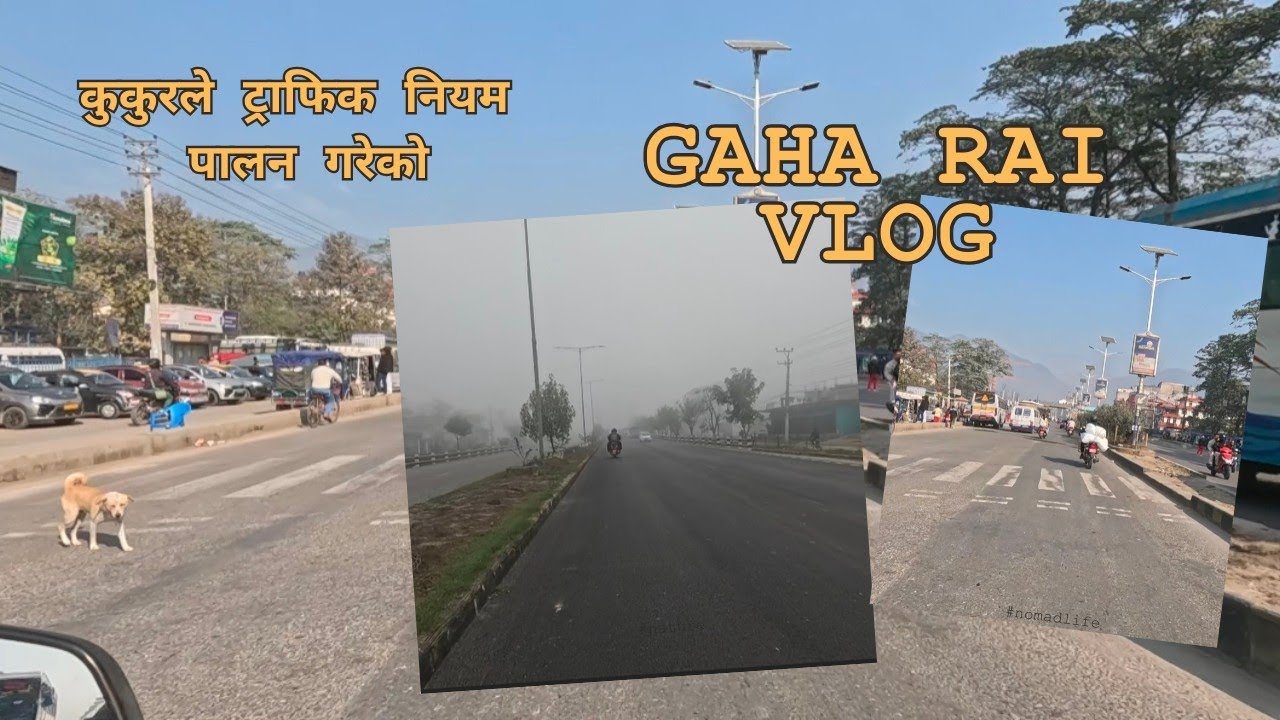 BHAIRAHAWA TO BUTWAL !! भैरहवा देखि बुटवल सम्म एस्तो खतरनाक रोड बन्यो ! जनवरले पनि ट्राफिक नियम पालन