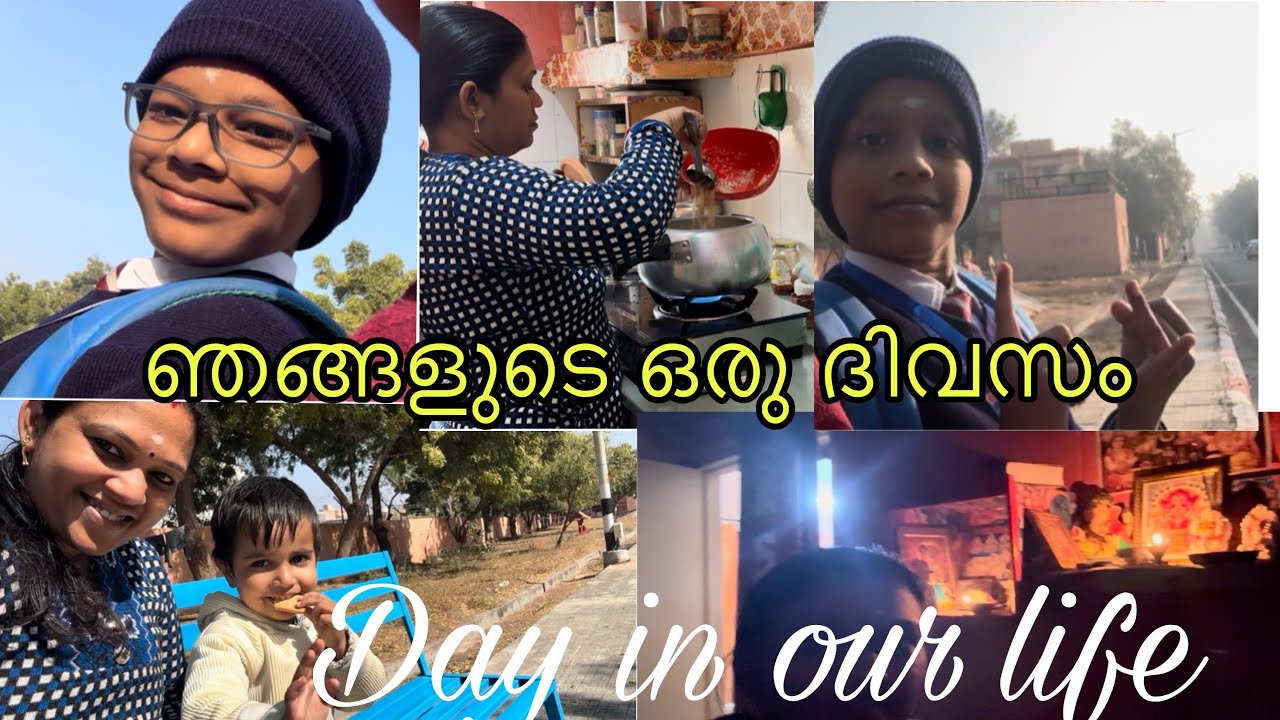 രാജസ്ഥാനിലെ ഞങ്ങളുടെ ഒരു ദിവസം 🥳| day in our life😍🧿@RJ13travel 