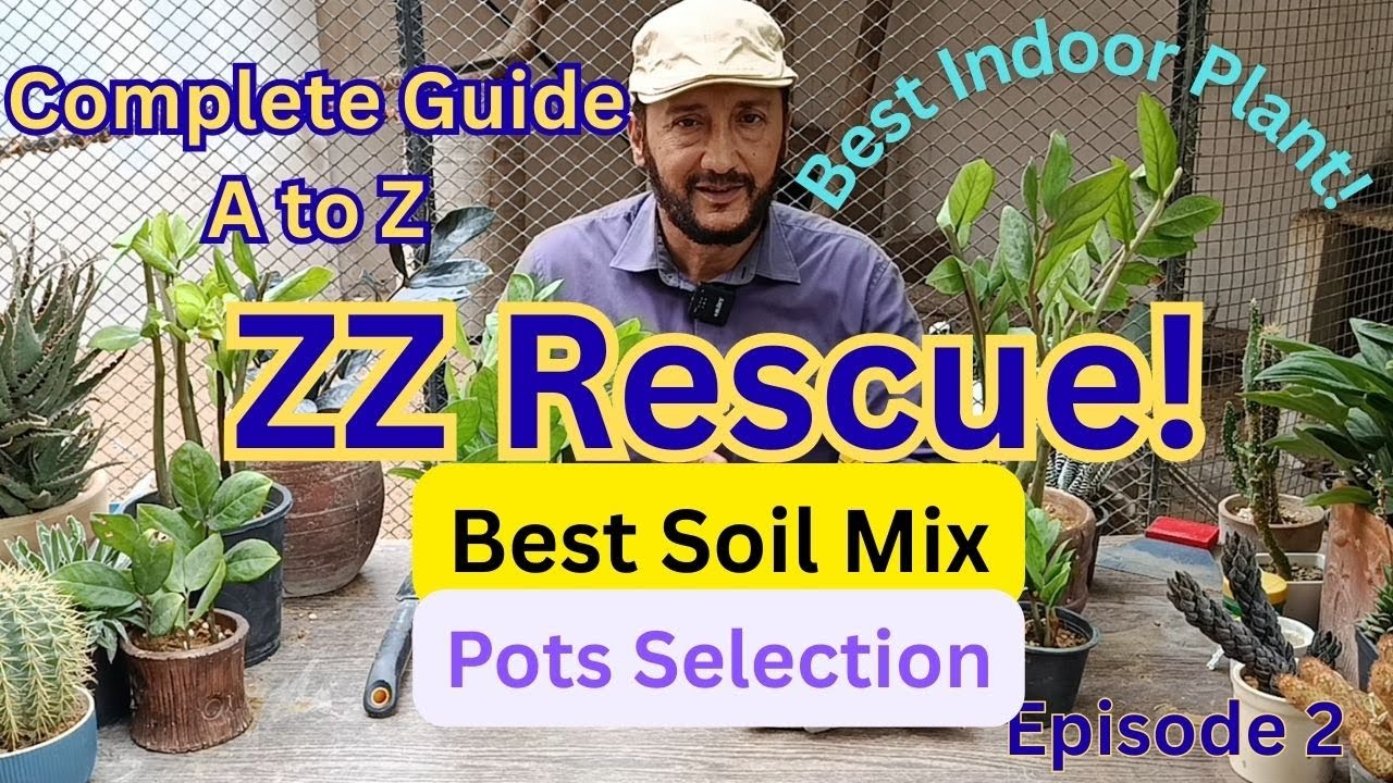 ZZ Plant Soil Mix + Pot Selection| Care & Rescue | Episode 2 (Urdu/Hindi with English Subtitles)