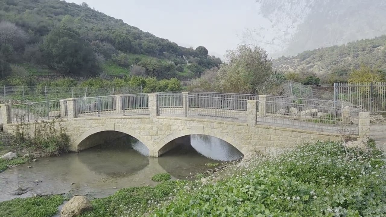 נחל ציפורי