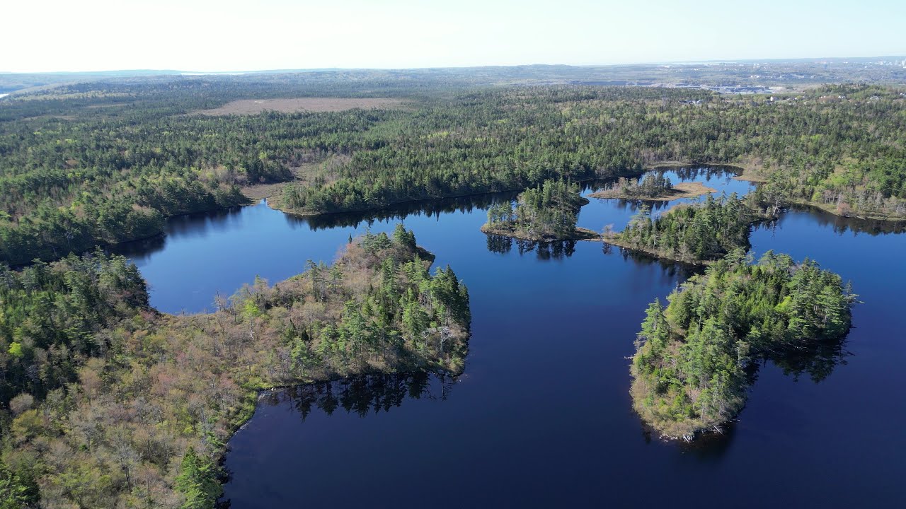 Lovely Spider Lake on a Beautiful Calm Sunny Spring Morning in Nova Scotia, Cinematic 4K UHD