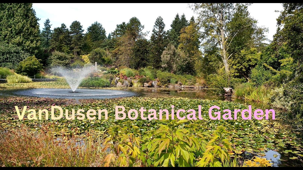 VanDusen Botanical Garden - Vancouver - Canada  باغ گیاه‌شناسی ون‌ دوسن