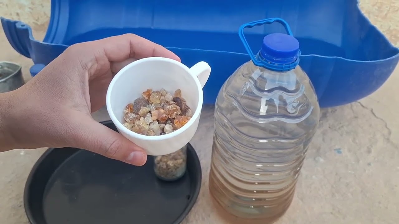 علاجات عشبة المرة كاملة لعلاج ووقاية الأغنام من أمراض الشتاء و الصيف