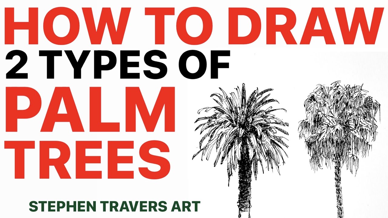 You Can Draw Palm Trees That Look Real!