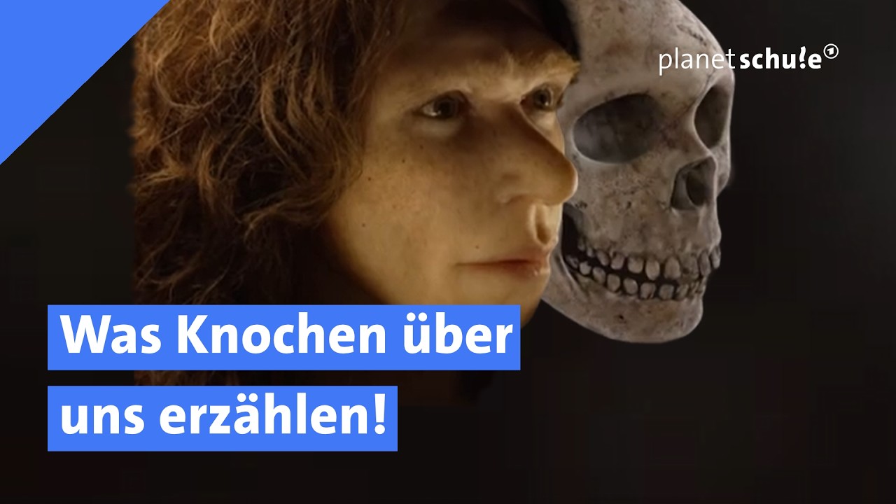 🦴 Was Knochen über Menschen erzählen | Woher wissen wir das? | planet schule | ARD