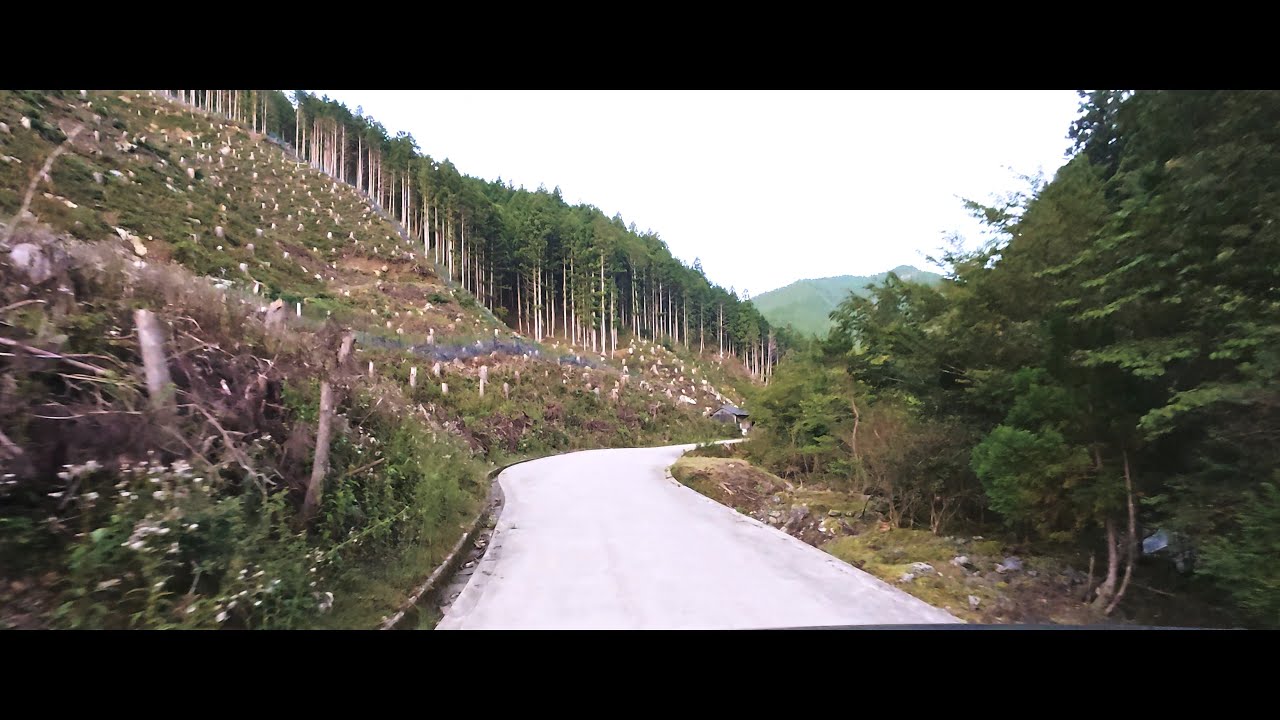 剣山スーパー林道舗装区間／東コース起点から旭丸峠まで[等速](2025.9.14)