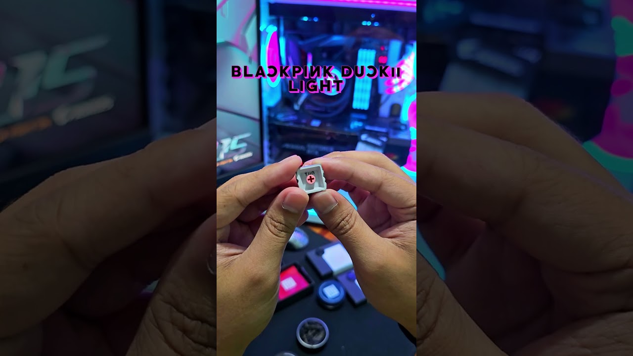 Tiin Artisans Duckii x BlackPink LIGHT | DARK