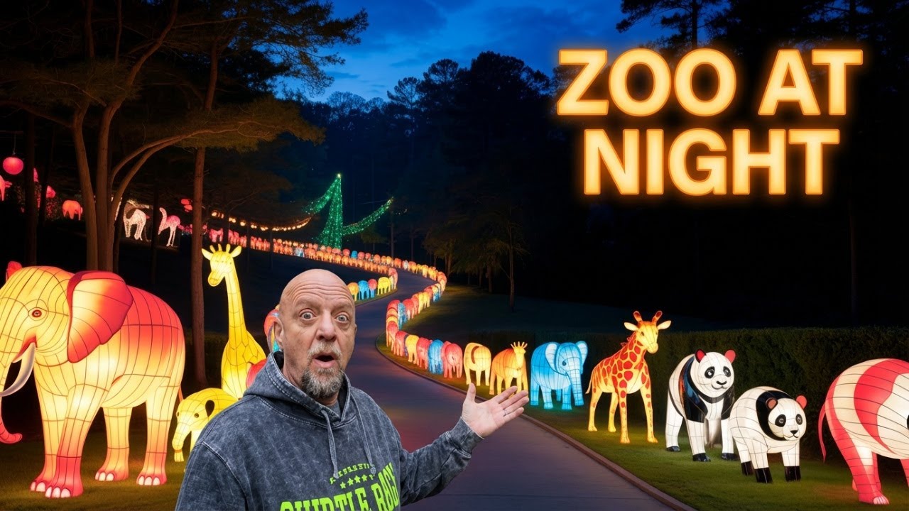 THIS ZOO LOOKS COMPLETELY DIFFERENT AFTER DARK #zoo #travelphotography  #travel