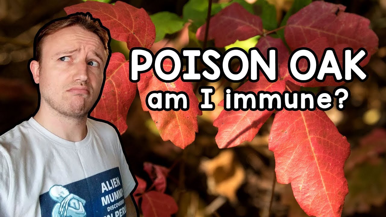 Poison Oak Experiment GONE WRONG!