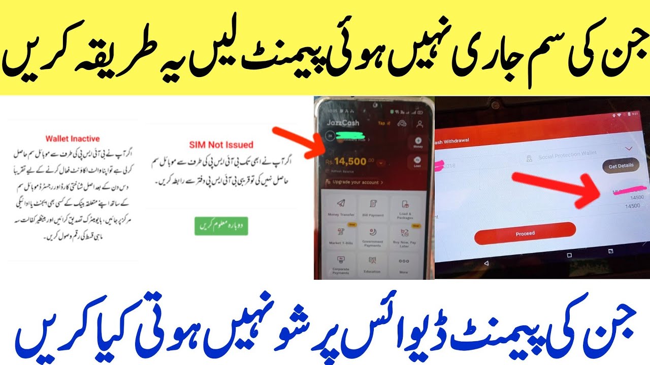 BISP 8171 portal new updates | BISP Wallet Account Sim not issued, wallet inactive | Bisp Payment 
