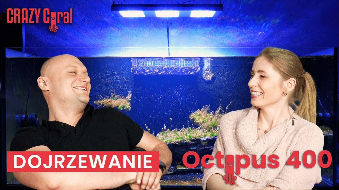 Zestaw Octopus 400: Akwarium Morskie z Sumpem #4 DOJRZEWANIE