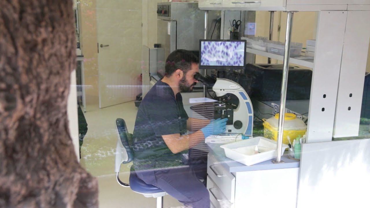 Director del departamento de Cl&iacute;nica y Laboratorio