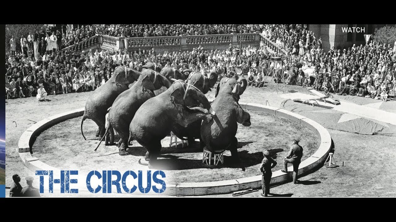 The History of The Circus | Brainfeed Magazine