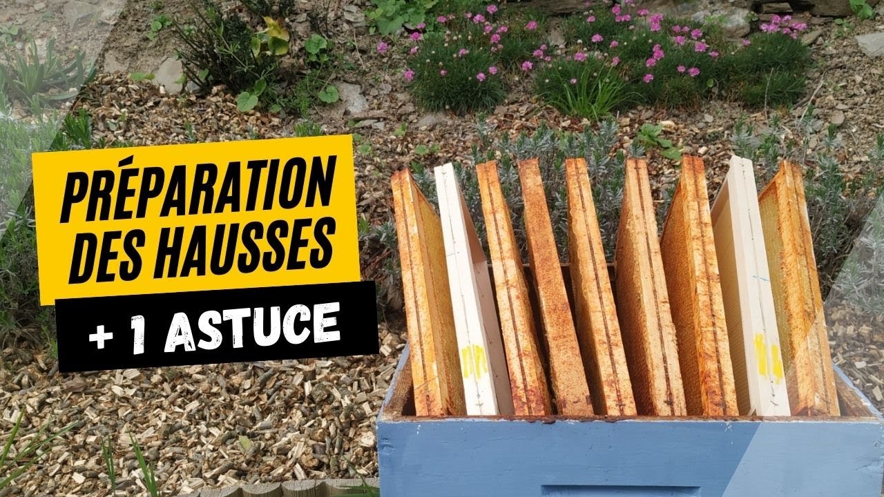 Nettoyer et préparer les hausses + 1 astuce en bonus