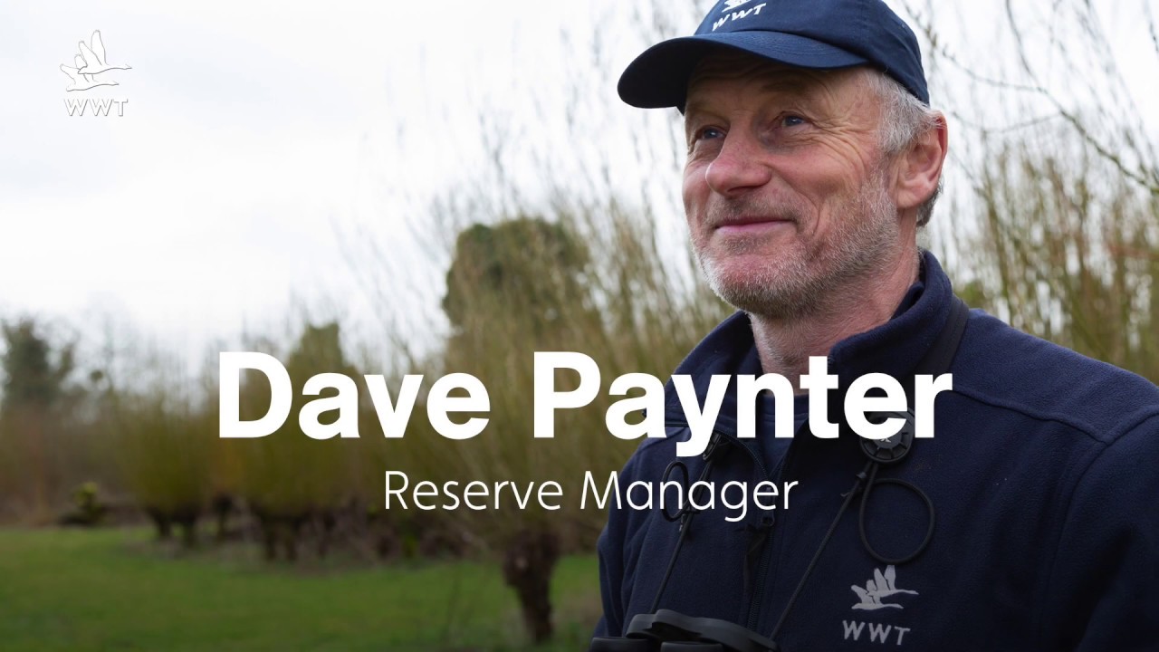 WildWatch: Spring on the Reserve | April 2020 | WWT Slimbridge