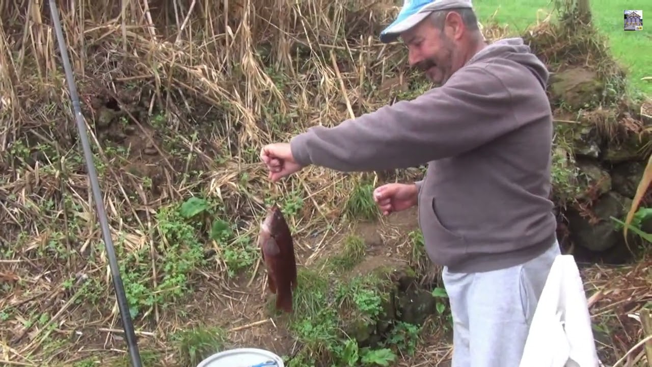 O SERAFIM AINDA APONHO PEIXO PARA JANTAR