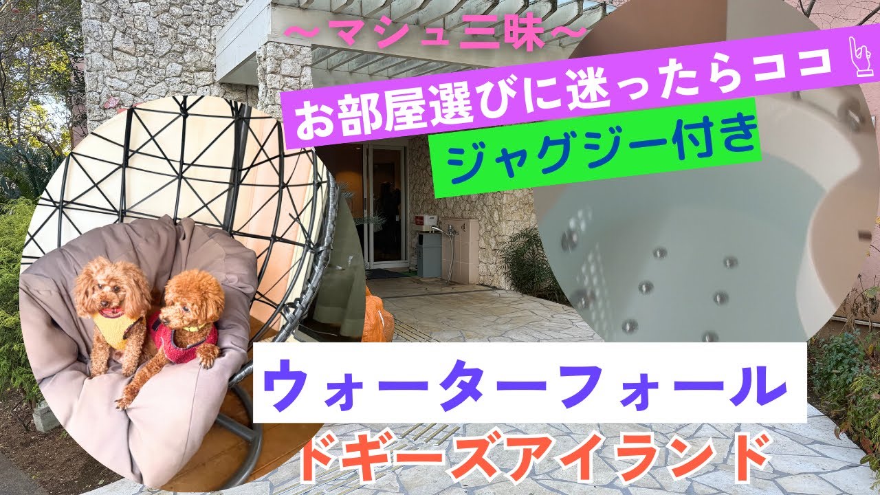 【ウォーターフォール／ドギーズアイランド】オススメのお部屋をご紹介〜マシュ三昧〜