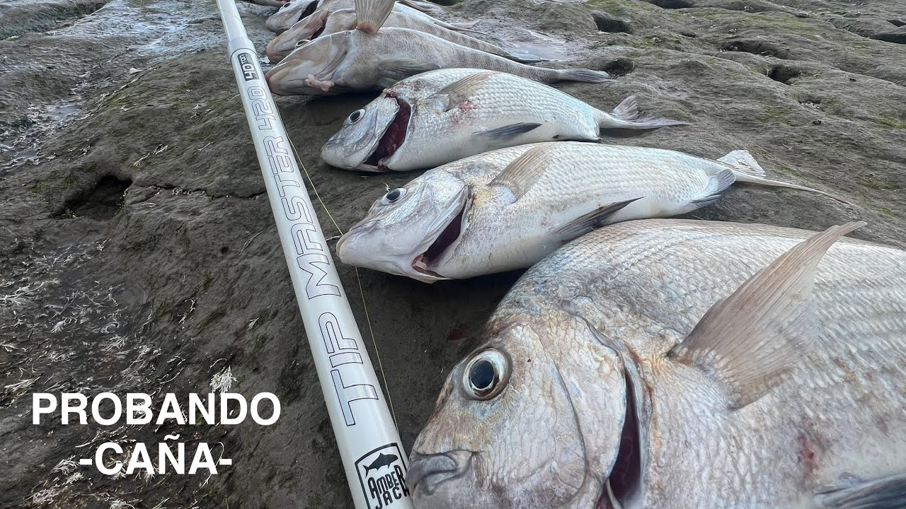 Lugar clave para esta pesca - Tripletes y dobletes - Amberjack TIP MÁSTER 420 #fishing #mar 