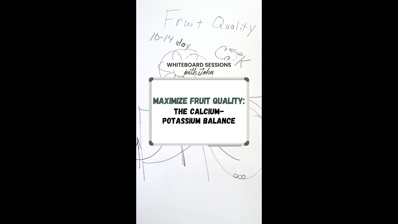 Maximize Fruit Quality: The Calcium-Potassium Balance