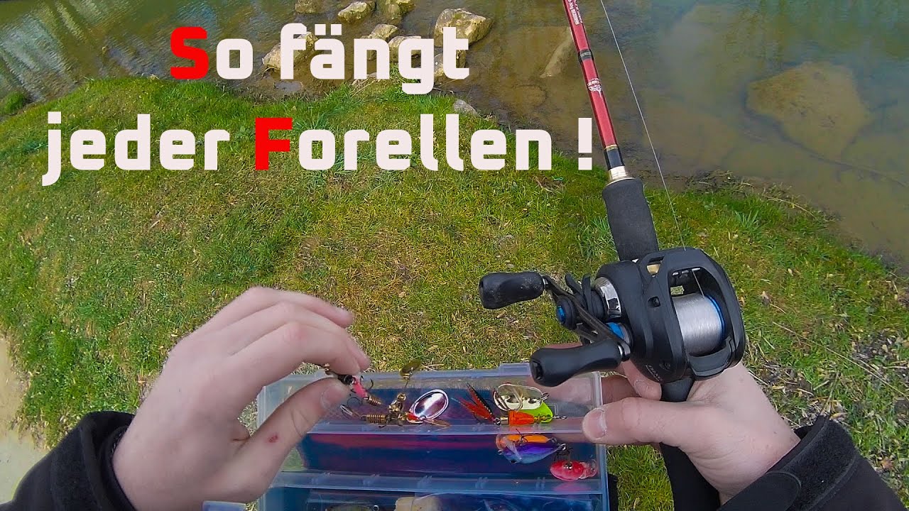 Forellenangeln mit Spinner so f&auml;ngt jeder - Fishingprofi