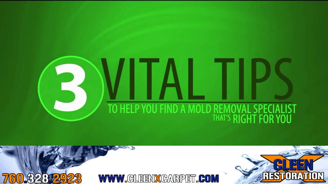 Cleen X Carpet & Tile Care - Mold Remediation.