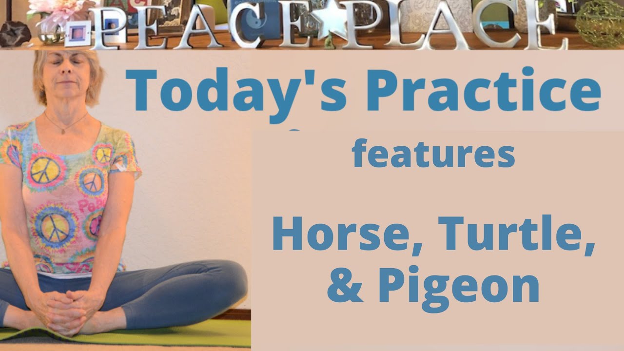 Horse, Turtle, Pigeon