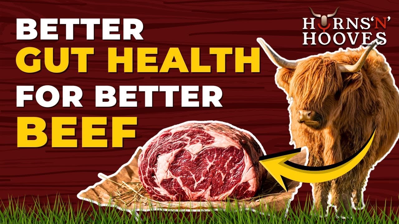 Building a Healthier Herd from the Inside Out with Trevor and Nichole Warren